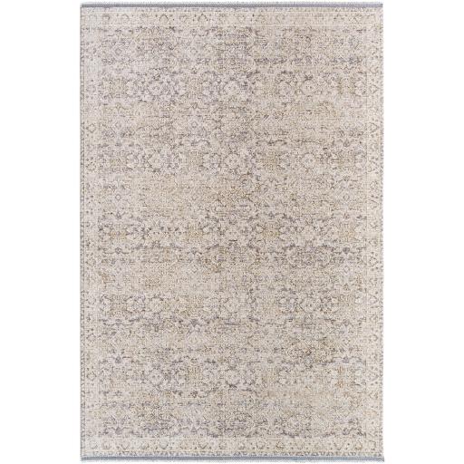 Surya Rivaldo RVD-2311 2'4" x 3'9" Rug