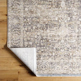 Surya Rivaldo RVD-2312 2'4" x 3'9" Rug