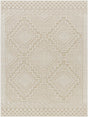Livabliss Rockport RPT-2306 2'7" x 7'3" Machine Woven Rug