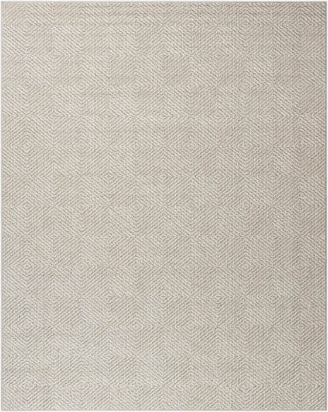 Livabliss Rockport RPT-2310 2'7" x 7'3" Machine Woven Rug