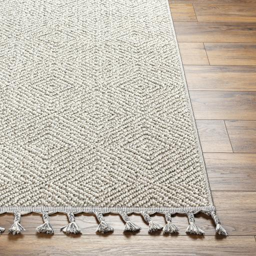 Surya Rockport RPT-2310 Gray Light Gray 2'7" x 7'3" Rug