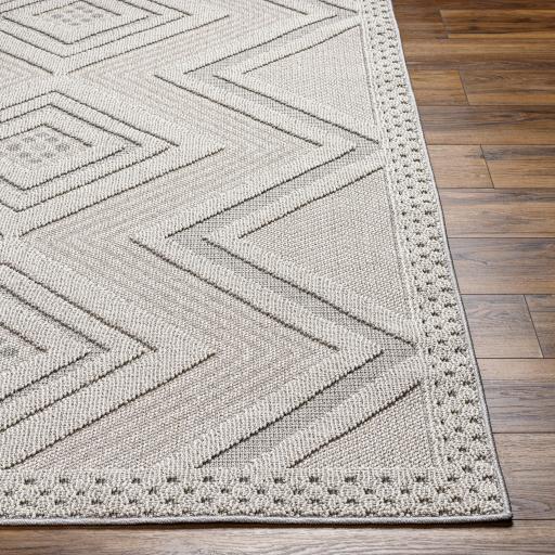 Surya Rockport RPT-2321 Gray Light Gray 2'7" x 7'3" Rug