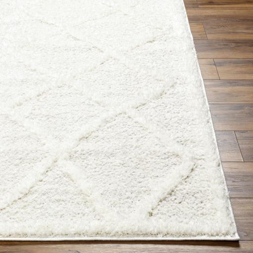 Surya Rodos RDO-2301 5'3" x 7' Rug