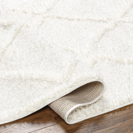 Surya Rodos RDO-2301 5'3" x 7' Rug