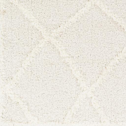 Surya Rodos RDO-2301 5'3" x 7' Rug