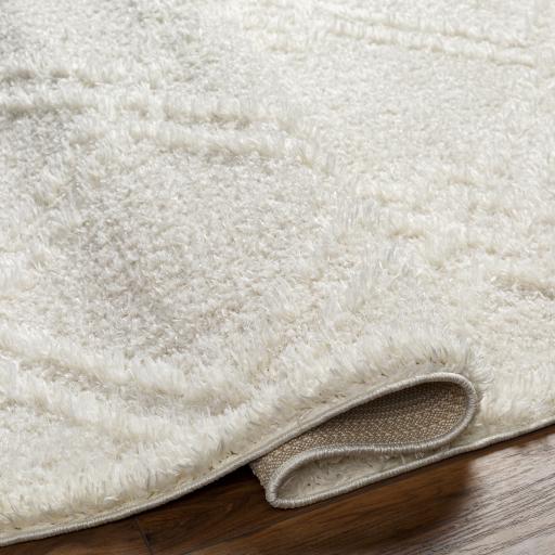 Surya Rodos RDO-2312 6'7" x 9' Rug