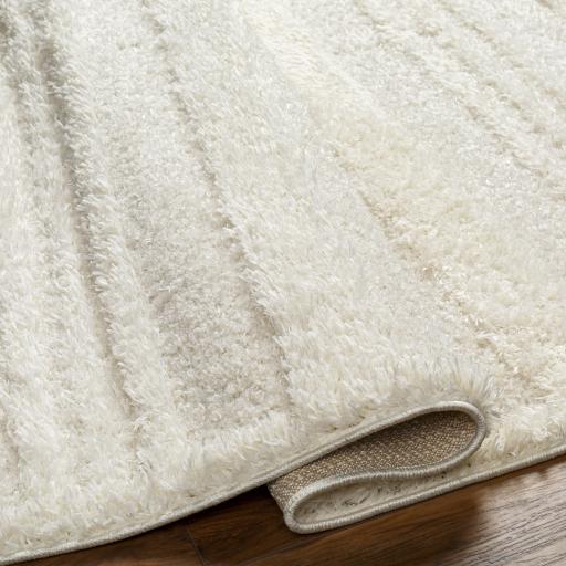 Surya Rodos RDO-2318 5'3" x 7' Rug