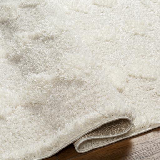 Surya Rodos RDO-2319 7'10" x 10' Rug