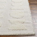 Surya Rodos RDO-2322 6'7" x 9' Rug