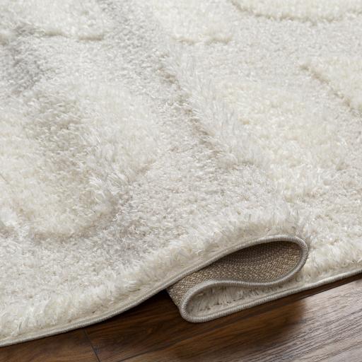 Surya Rodos RDO-2322 6'7" x 9' Rug