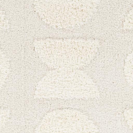 Surya Rodos RDO-2322 6'7" x 9' Rug
