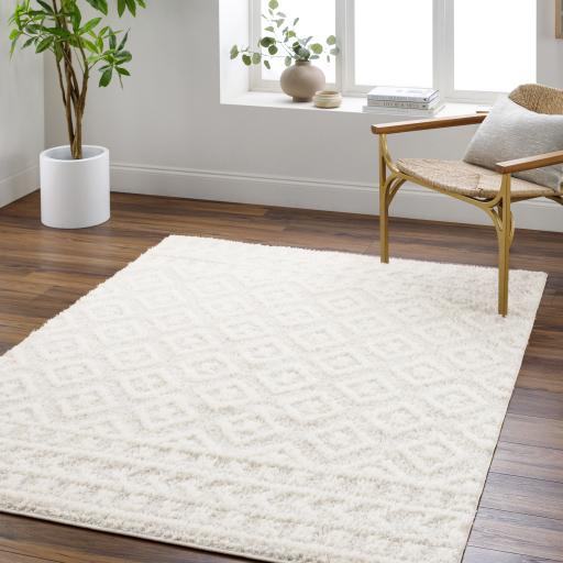 Surya Rodos RDO-2336 6'7" x 9' Rug