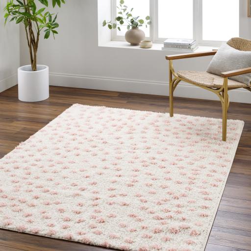 Surya Rodos RDO-2349 5'3" x 7' Rug
