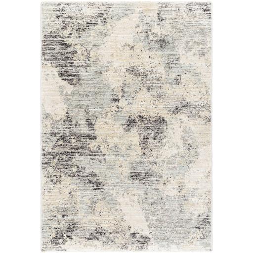 Surya Rojin ROJ-2302 9' x 13'1" Rug