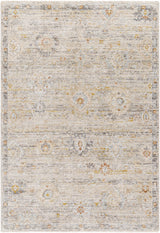 Surya Rojin ROJ-2303 9' x 12'7" Rug