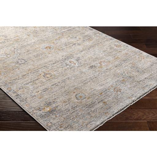 Surya Rojin ROJ-2303 Brick Red Light Blue 9' x 13'1" Rug