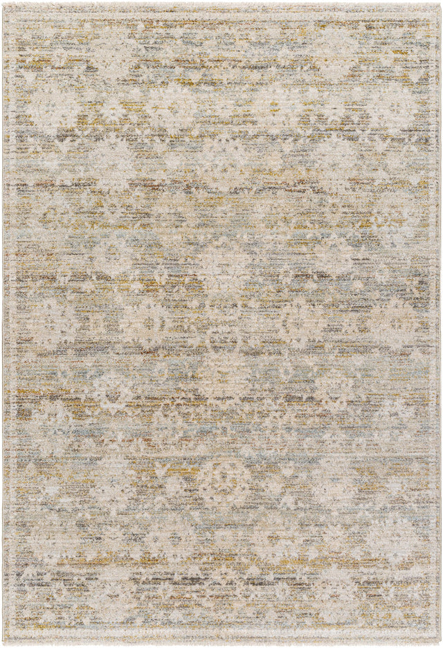 Surya Rojin ROJ-2304 Gray Light Blue 5'3" x 7'10" Rug