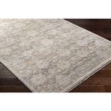 Surya Rojin ROJ-2304 Gray Light Blue 9' x 13'1" Rug