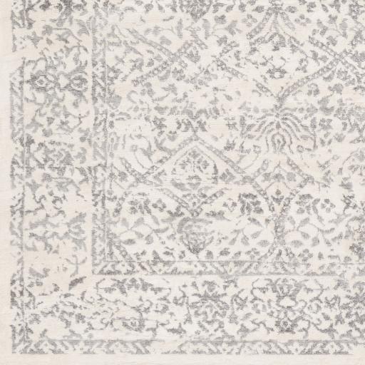 Surya Roma ROM-2300 2' x 2'11" Rug