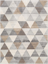 Surya Roma ROM-2303 6'7" x 9' Rug