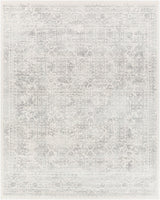 Livabliss Roma ROM-2308 8'11" x 12'4" Machine Woven Rug