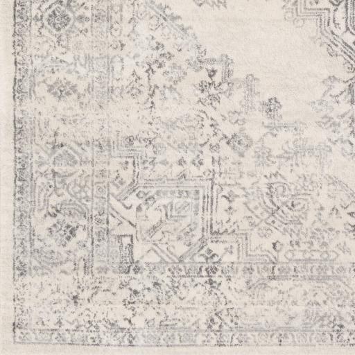 Surya Roma ROM-2322 2' x 2'11" Rug