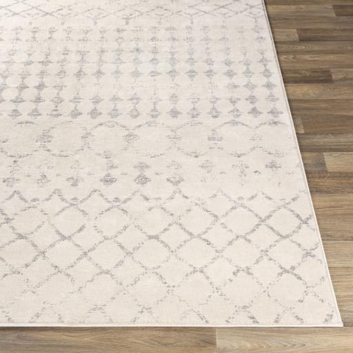 Surya Roma ROM-2343 Light Gray Medium Gray 6'7" x 9' Rug