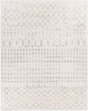 Surya Roma ROM-2343 7'10" x 7'10" Machine Woven Rug