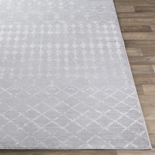 Surya Roma ROM-2344 Gray Light Gray 7'10" x 10' Rug