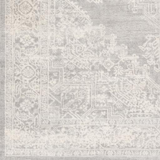 Surya Roma ROM-2348 8'11" x 12'4" Rug