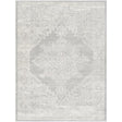 Surya Roma ROM-2348 8'11" x 12'4" Rug
