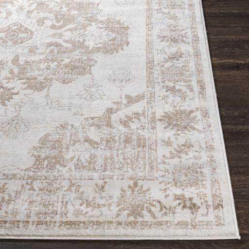 Surya Roma ROM-2363 Gray Ivory 8'11" x 12'4" Rug