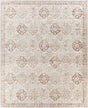 Livabliss Roma ROM-2368 5'3" x 7'1" Machine Woven Rug