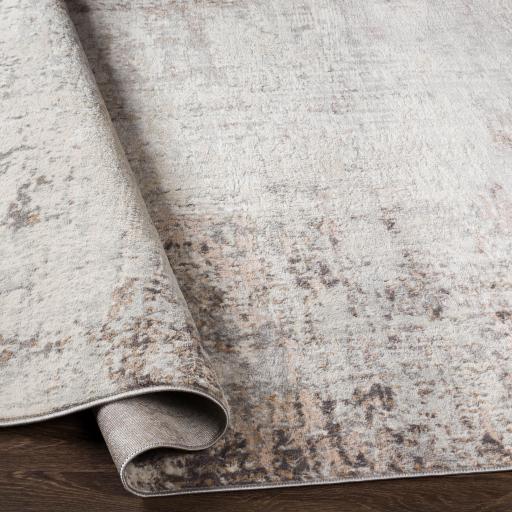 Surya Roma ROM-2395 2'7" x 7'3" Rug