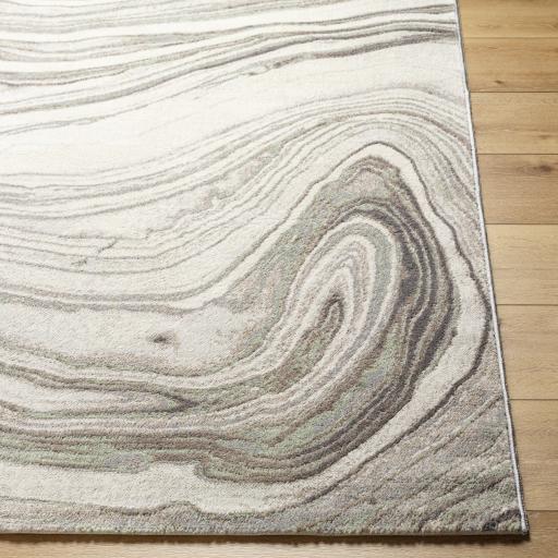 Surya Roma ROM-2409 Brown Cream 8'11" x 12'4" Rug