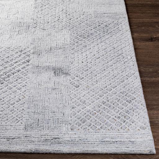 Surya Rosario ROA-2305 Charcoal Light Gray 2' x 3' Rug