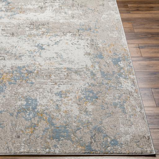 Surya Roswell RSW-2300 Beige Denim 9'2" x 12' Rug