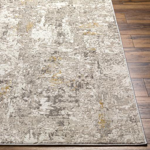 Surya Roswell RSW-2301 Beige Gray 9'2" x 12' Rug