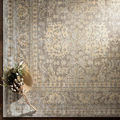 Surya Royal RYL-2301 Light Gray Taupe 2' x 3' Rug