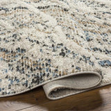 Surya Rudy RDY-2302 9'2" x 12' Rug