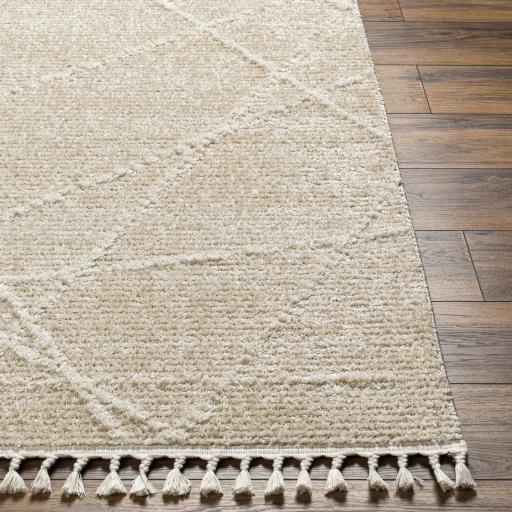 Surya Rudy RDY-2307 Cream Gray 9'2" x 12' Rug