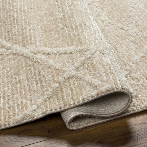 Surya Rudy RDY-2307 9'2" x 12' Rug