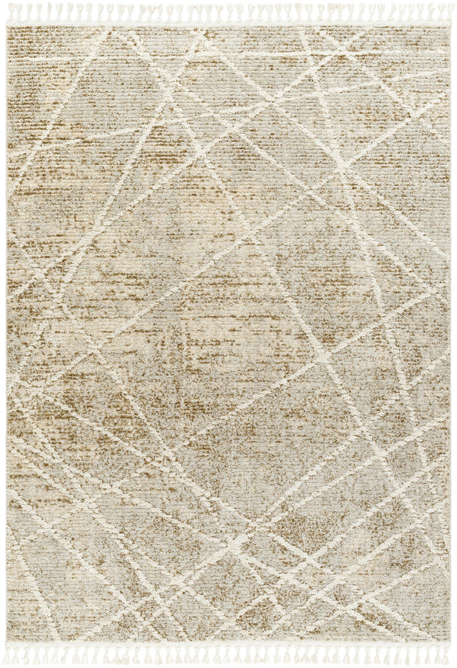 Surya Rudy RDY-2308 Cream Gray 5'3" x 7' Rug