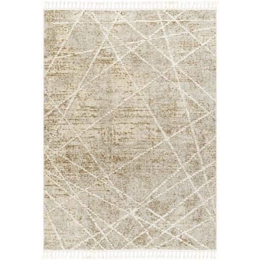 Surya Rudy RDY-2308 9'2" x 12' Rug