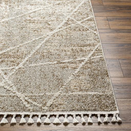 Surya Rudy RDY-2308 Cream Gray 9'2" x 12' Rug