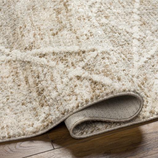 Surya Rudy RDY-2308 9'2" x 12' Rug