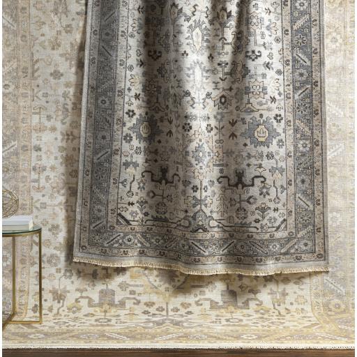 Surya Sabine SBN-1001 Beige Dark Brown 8' x 11' Rug