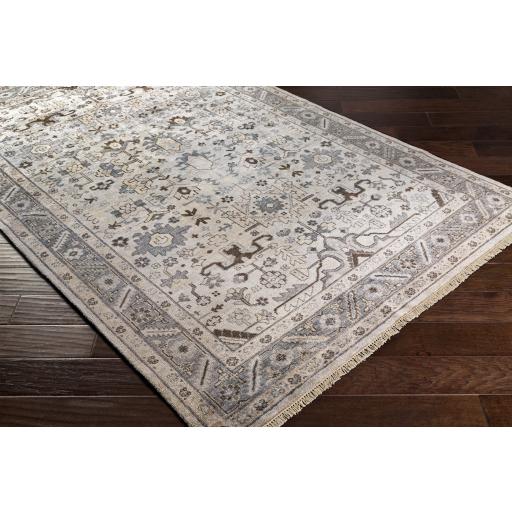 Surya Sabine SBN-1001 Beige Dark Brown 9' x 13' Rug