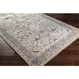 Surya Sabine SBN-1001 Beige Dark Brown 9' x 13' Rug