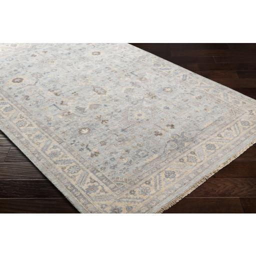 Surya Sabine SBN-1002 Beige Dark Blue 2' x 3' Rug
